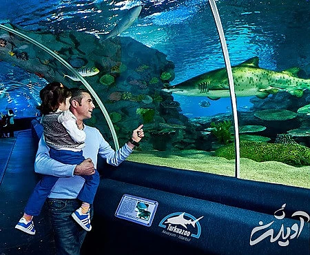 تفریح روی کشتی های کروز, برج دختر در تنگه بسفر, تنگه بسفر 